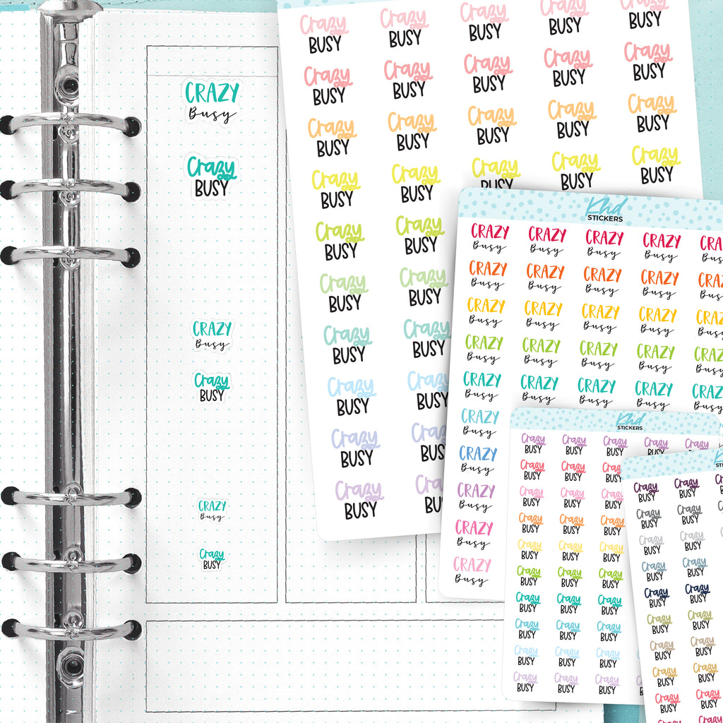 Crazy Busy Planner Stickers Small