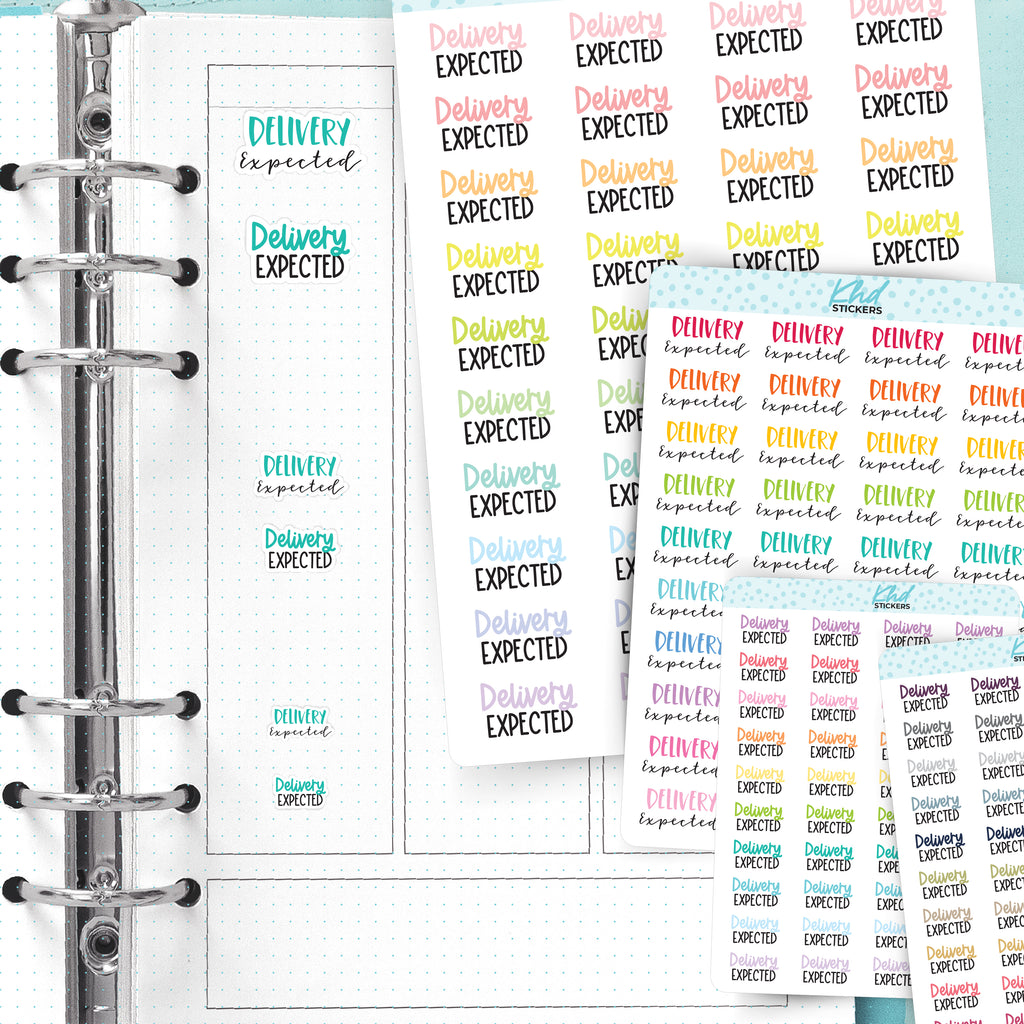 Delivery Expected Script Planner Stickers Small